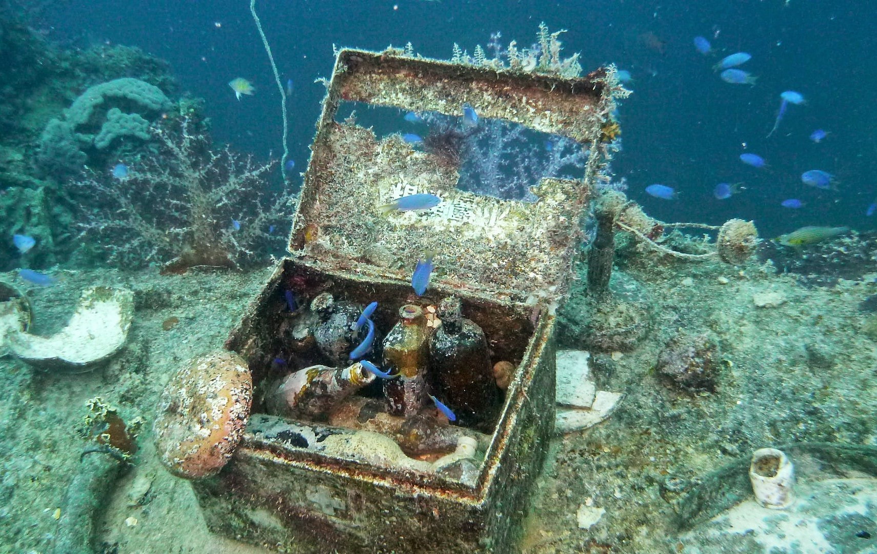 Diving Chuuk Lagoon Micronesia Memugaa Diving Chuuk Lagoon Micronesia Memugaa