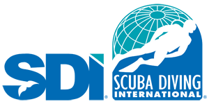 sdi-logo3