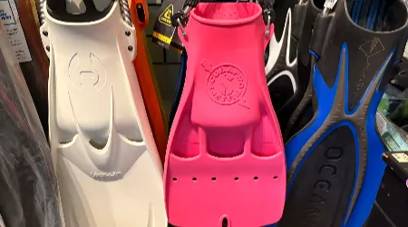 Scuba and Freediving Fins