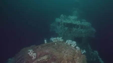 Scuba diving charters in Nanaimo